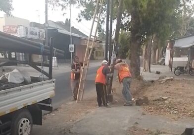 Investigasi Gabungan Media Jawa Timur Temukan Dugaan Pemasangan Tiang starlite weaveTanpa Dokumen Perizinan Lengkap dari dinas terkait di kabupaten Blitar
